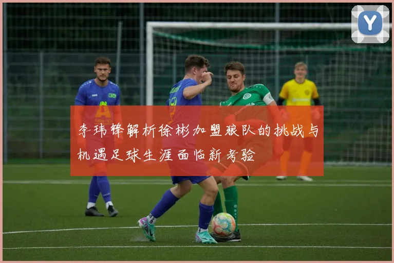 李玮锋解析徐彬加盟狼队的挑战与机遇足球生涯面临新考验