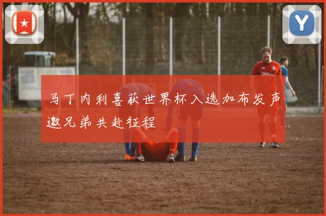 马丁内利喜获世界杯入选加布发声邀兄弟共赴征程