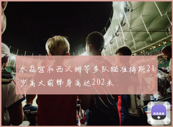 水晶宫和西汉姆等多队瞄准梅斯21岁高大前锋身高达202米